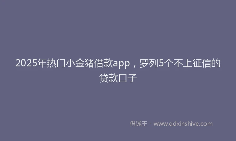 2025年热门小金猪借款app，罗列5个不上征信的贷款口子