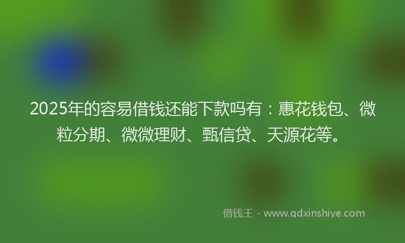 2025年的容易借钱还能下款吗有：惠花钱包、微粒分期、微微理财、甄信贷、天源花等。