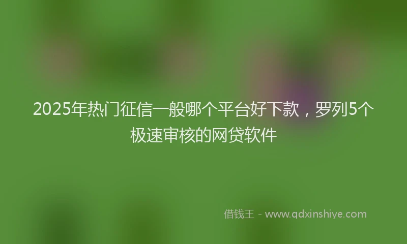 2025年热门征信一般哪个平台好下款，罗列5个极速审核的网贷软件