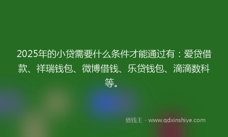 2025年的小贷需要什么条件才能通过有：爱贷借款、祥瑞钱包、微博借钱、乐贷钱包、滴滴数科等。