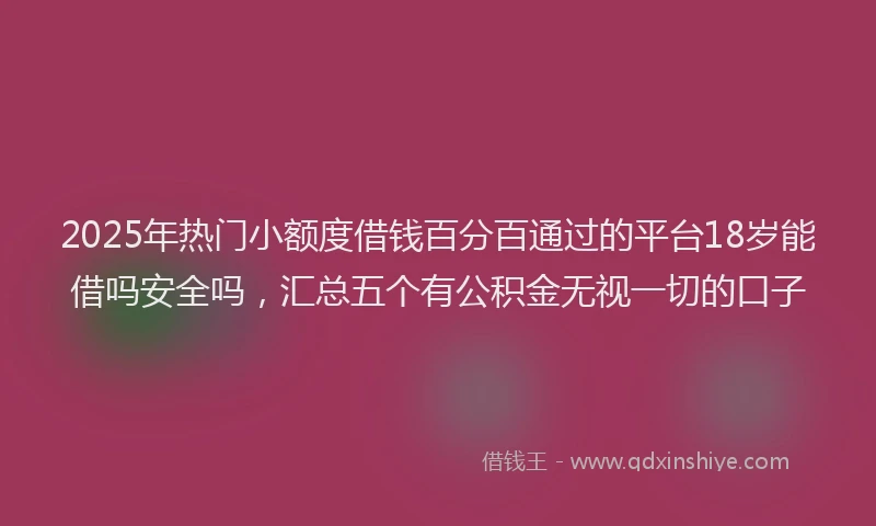 2025年热门小额度借钱百分百通过的平台18岁能借吗安全吗，汇总五个有公积金无视一切的口子