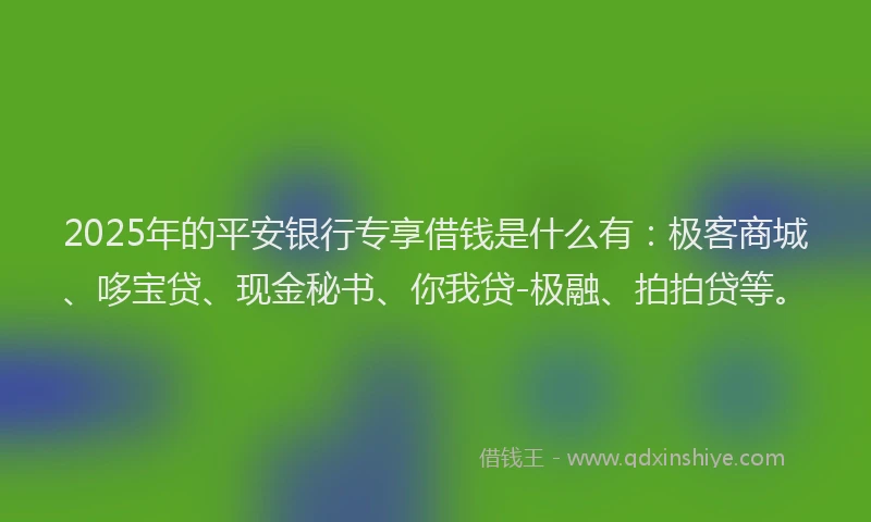 2025年的平安银行专享借钱是什么有：极客商城、哆宝贷、现金秘书、你我贷-极融、拍拍贷等。