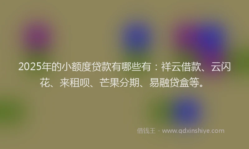 2025年的小额度贷款有哪些有：祥云借款、云闪花、来租呗、芒果分期、易融贷盒等。