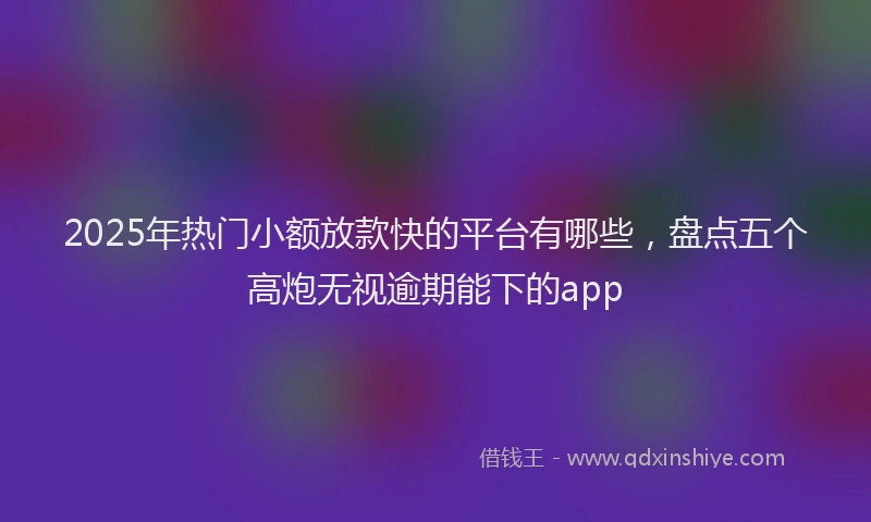 2025年热门小额放款快的平台有哪些，盘点五个高炮无视逾期能下的app