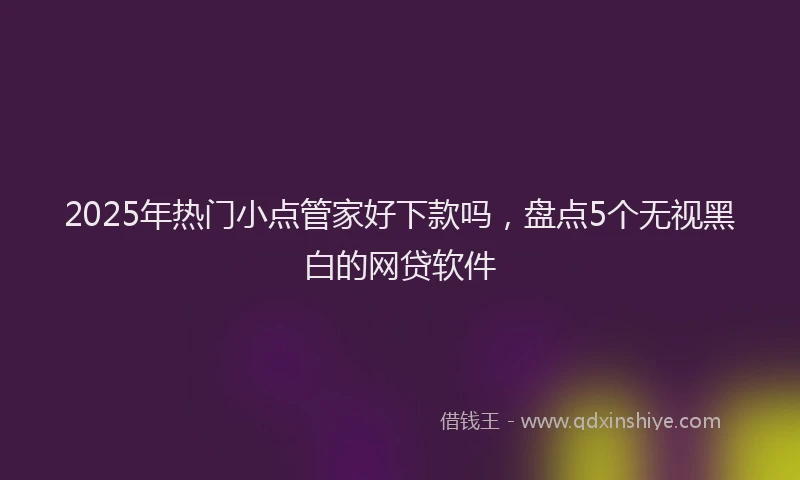 2025年热门小点管家好下款吗，盘点5个无视黑白的网贷软件