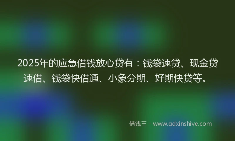 2025年的应急借钱放心贷有：钱袋速贷、现金贷速借、钱袋快借通、小象分期、好期快贷等。
