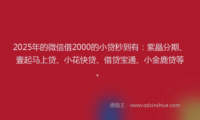 2025年的微信借2000的小贷秒到有：紫晶分期、壹起马上贷、小花快贷、借贷宝通、小金鹿贷等。