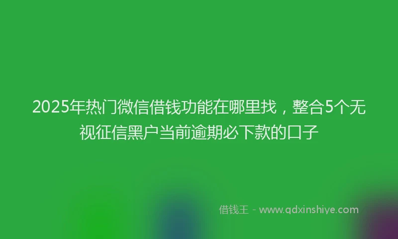 2025年热门微信借钱功能在哪里找，整合5个无视征信黑户当前逾期必下款的口子