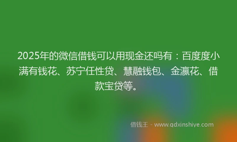 2025年的微信借钱可以用现金还吗有：百度度小满有钱花、苏宁任性贷、慧融钱包、金瀛花、借款宝贷等。