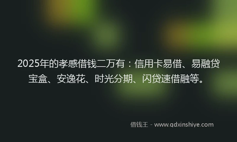 2025年的孝感借钱二万有：信用卡易借、易融贷宝盒、安逸花、时光分期、闪贷速借融等。