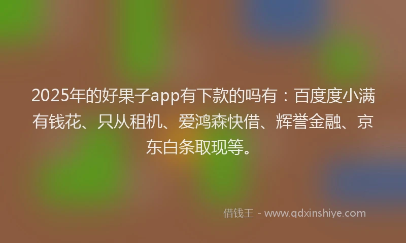 2025年的好果子app有下款的吗有：百度度小满有钱花、只从租机、爱鸿森快借、辉誉金融、京东白条取现等。