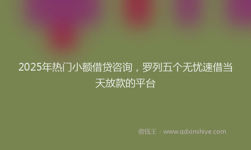 2025年热门小额借贷咨询，罗列五个无忧速借当天放款的平台