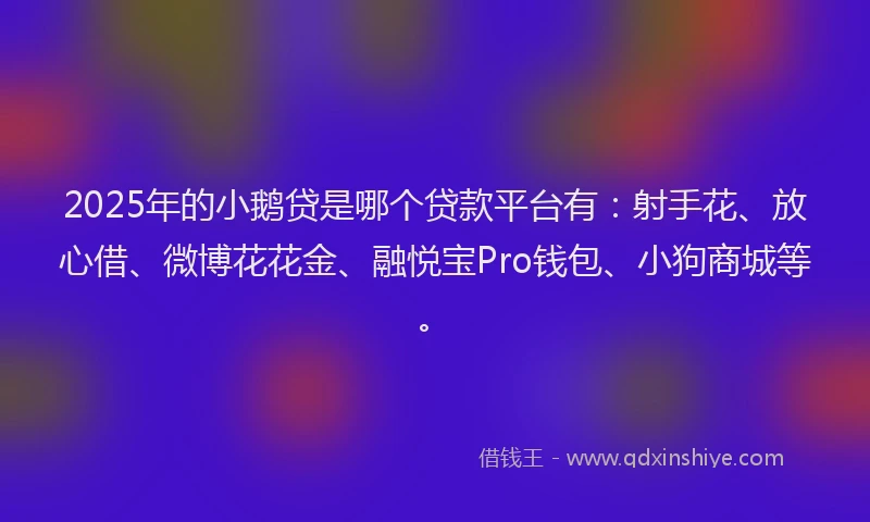 2025年的小鹅贷是哪个贷款平台有：射手花、放心借、微博花花金、融悦宝Pro钱包、小狗商城等。