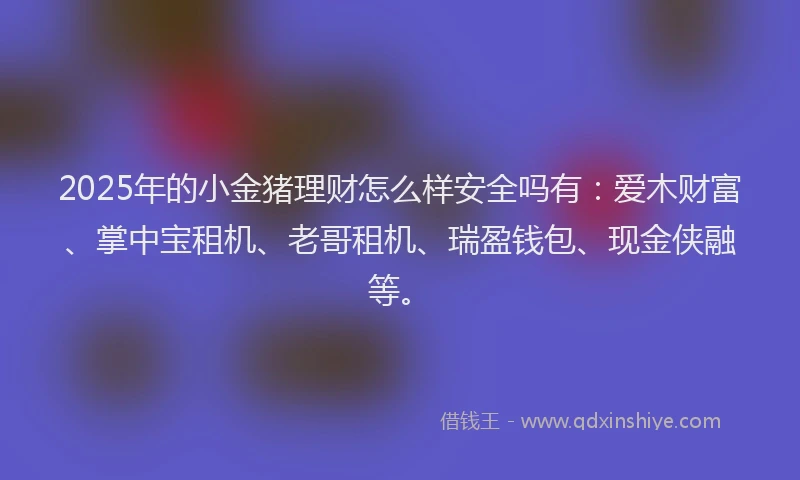 2025年的小金猪理财怎么样安全吗有：爱木财富、掌中宝租机、老哥租机、瑞盈钱包、现金侠融等。