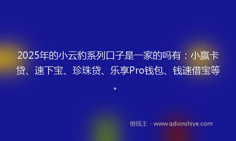 2025年的小云豹系列口子是一家的吗有：小赢卡贷、速下宝、珍珠贷、乐享Pro钱包、钱速借宝等。