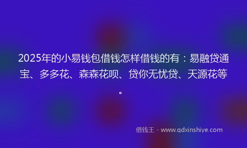 2025年的小易钱包借钱怎样借钱的有：易融贷通宝、多多花、森森花呗、贷你无忧贷、天源花等。