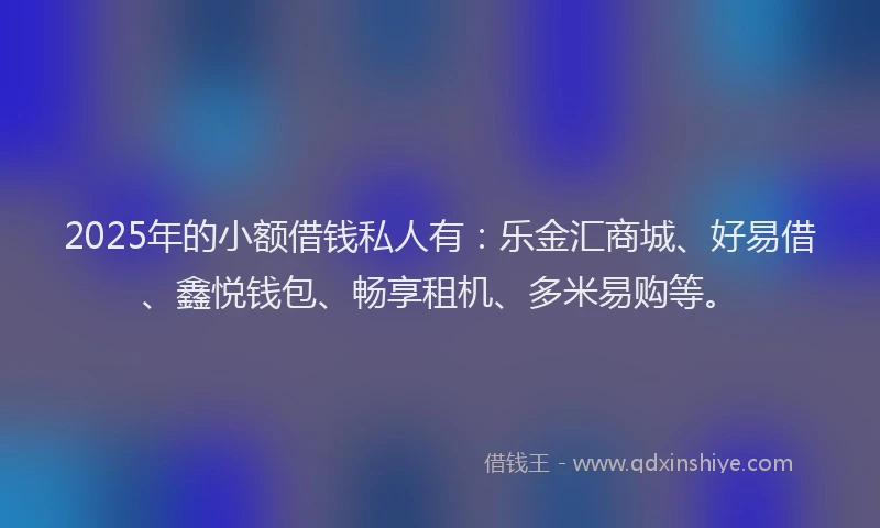 2025年的小额借钱私人有：乐金汇商城、好易借、鑫悦钱包、畅享租机、多米易购等。