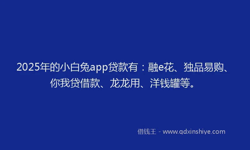 2025年的小白兔app贷款有：融e花、独品易购、你我贷借款、龙龙用、洋钱罐等。