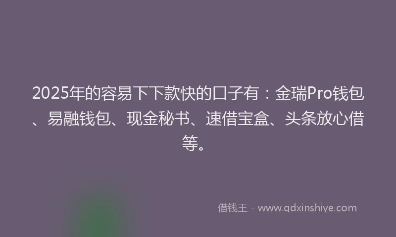 2025年的容易下下款快的口子有：金瑞Pro钱包、易融钱包、现金秘书、速借宝盒、头条放心借等。