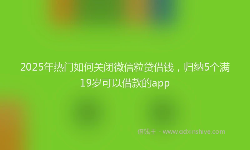 2025年热门如何关闭微信粒贷借钱，归纳5个满19岁可以借款的app