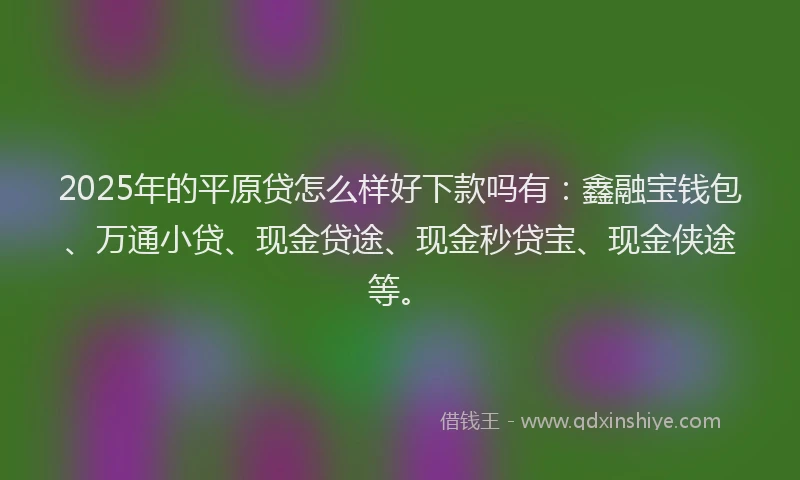 2025年的平原贷怎么样好下款吗有：鑫融宝钱包、万通小贷、现金贷途、现金秒贷宝、现金侠途等。
