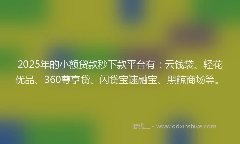 2025年的小额贷款秒下款平台有：云钱袋、轻花优品、360尊享贷、闪贷宝速融宝、黑鲸商场等。