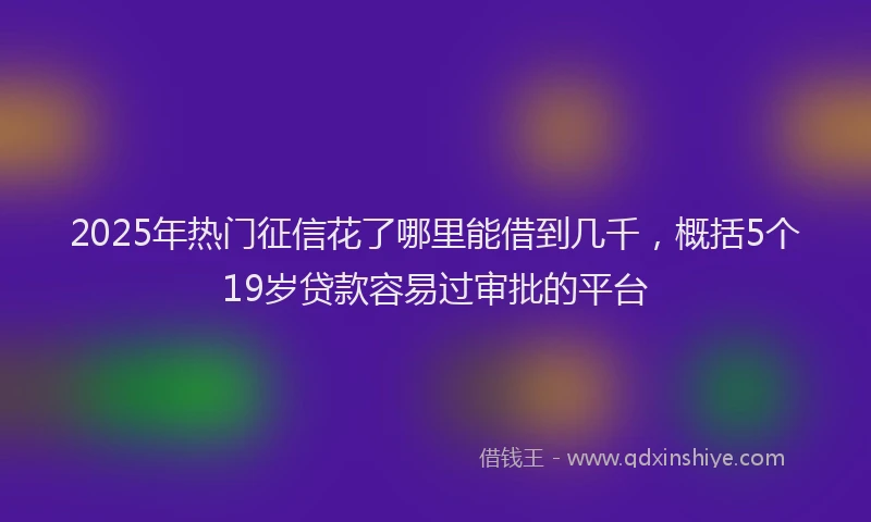 2025年热门征信花了哪里能借到几千，概括5个19岁贷款容易过审批的平台