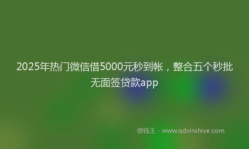 2025年热门微信借5000元秒到帐，整合五个秒批无面签贷款app