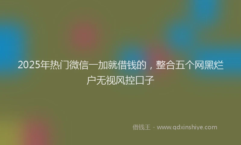 2025年热门微信一加就借钱的，整合五个网黑烂户无视风控口子