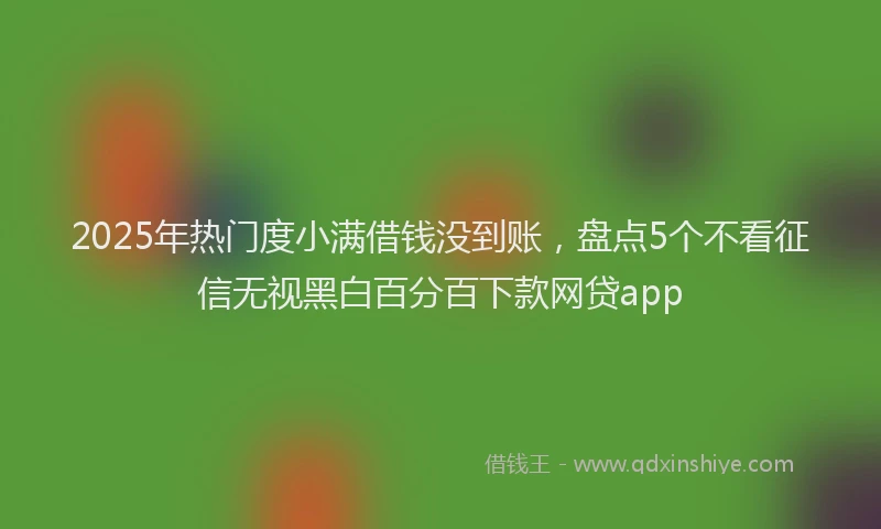 2025年热门度小满借钱没到账，盘点5个不看征信无视黑白百分百下款网贷app