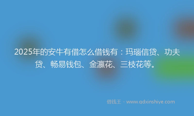 2025年的安牛有借怎么借钱有：玛瑙信贷、功夫贷、畅易钱包、金瀛花、三枝花等。