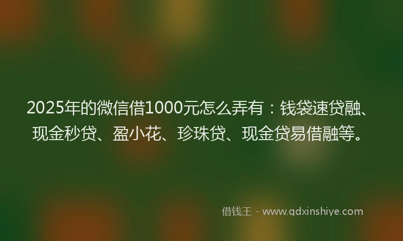 2025年的微信借1000元怎么弄有：钱袋速贷融、现金秒贷、盈小花、珍珠贷、现金贷易借融等。