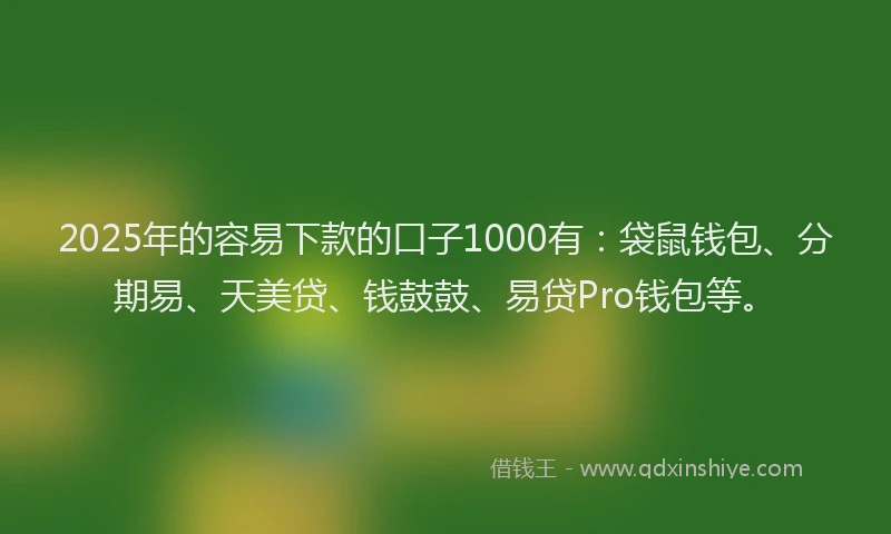 2025年的容易下款的口子1000有：袋鼠钱包、分期易、天美贷、钱鼓鼓、易贷Pro钱包等。