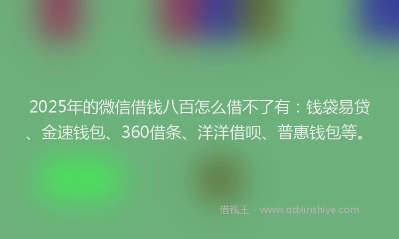 2025年的微信借钱八百怎么借不了有：钱袋易贷、金速钱包、360借条、洋洋借呗、普惠钱包等。