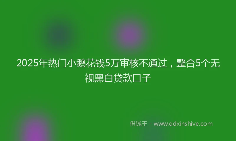 2025年热门小鹅花钱5万审核不通过，整合5个无视黑白贷款口子