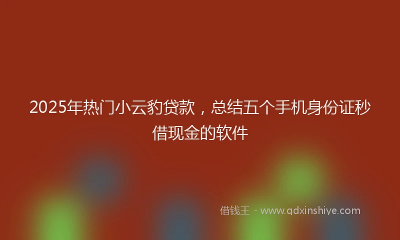 2025年热门小云豹贷款，总结五个手机身份证秒借现金的软件