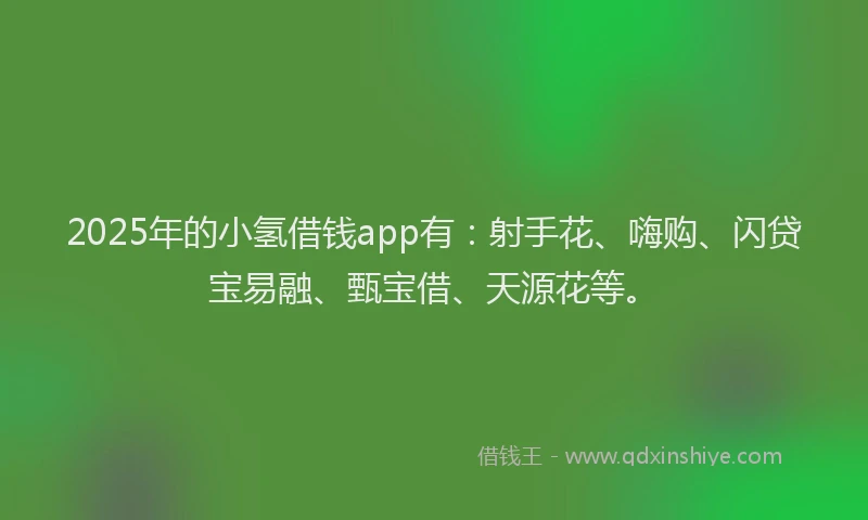 2025年的小氢借钱app有：射手花、嗨购、闪贷宝易融、甄宝借、天源花等。