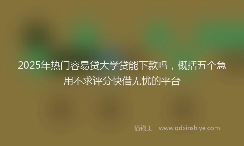2025年热门容易贷大学贷能下款吗，概括五个急用不求评分快借无忧的平台