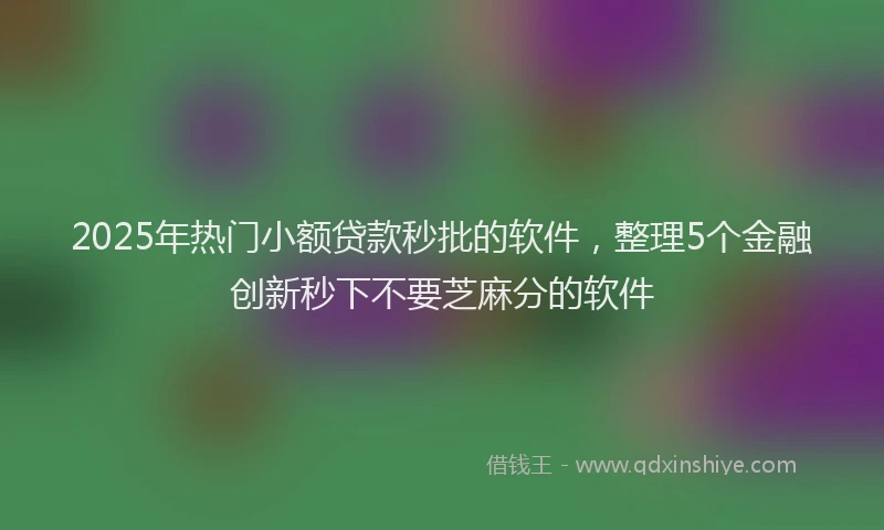 2025年热门小额贷款秒批的软件，整理5个金融创新秒下不要芝麻分的软件