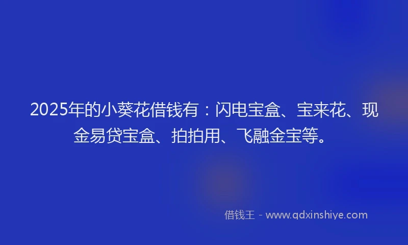 2025年的小葵花借钱有：闪电宝盒、宝来花、现金易贷宝盒、拍拍用、飞融金宝等。