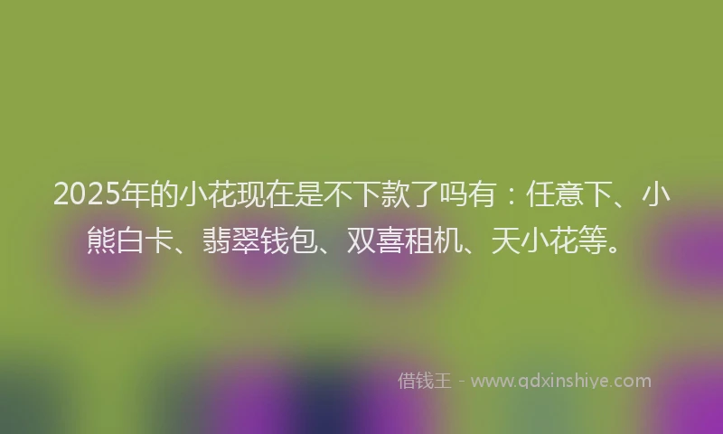 2025年的小花现在是不下款了吗有：任意下、小熊白卡、翡翠钱包、双喜租机、天小花等。