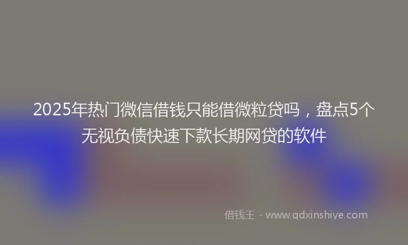 2025年热门微信借钱只能借微粒贷吗，盘点5个无视负债快速下款长期网贷的软件