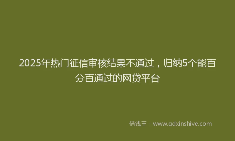 2025年热门征信审核结果不通过，归纳5个能百分百通过的网贷平台