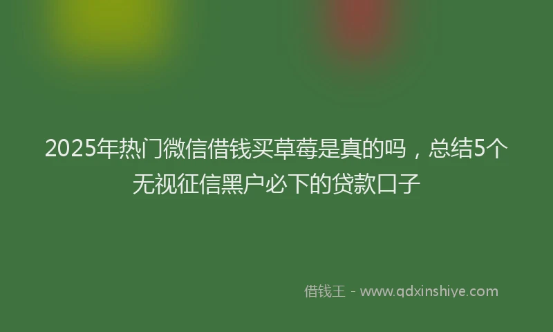 2025年热门微信借钱买草莓是真的吗，总结5个无视征信黑户必下的贷款口子