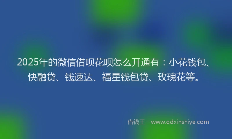2025年的微信借呗花呗怎么开通有：小花钱包、快融贷、钱速达、福星钱包贷、玫瑰花等。