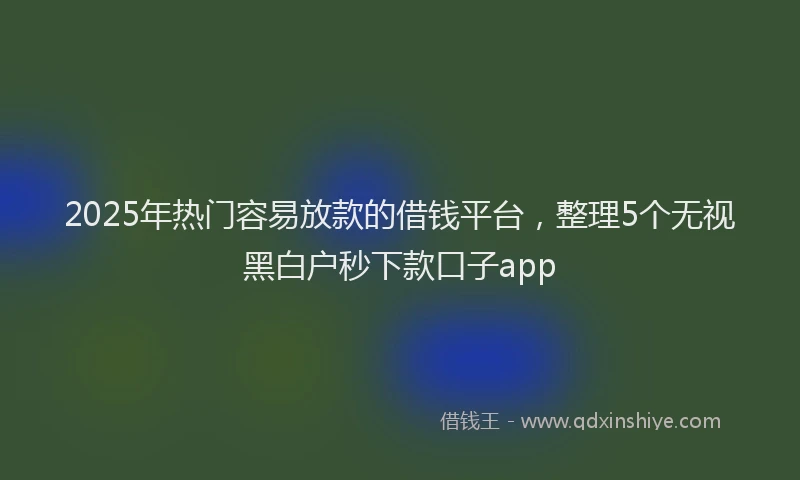 2025年热门容易放款的借钱平台，整理5个无视黑白户秒下款口子app