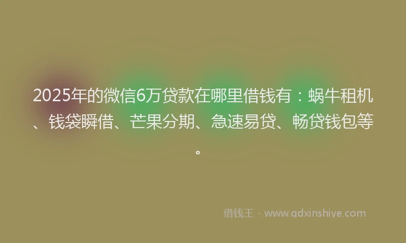 2025年的微信6万贷款在哪里借钱有：蜗牛租机、钱袋瞬借、芒果分期、急速易贷、畅贷钱包等。