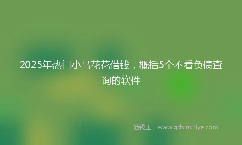 2025年热门小马花花借钱，概括5个不看负债查询的软件