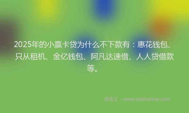 2025年的小赢卡贷为什么不下款有：惠花钱包、只从租机、金亿钱包、阿凡达速借、人人贷借款等。