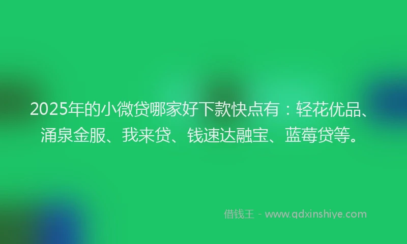 2025年的小微贷哪家好下款快点有：轻花优品、涌泉金服、我来贷、钱速达融宝、蓝莓贷等。